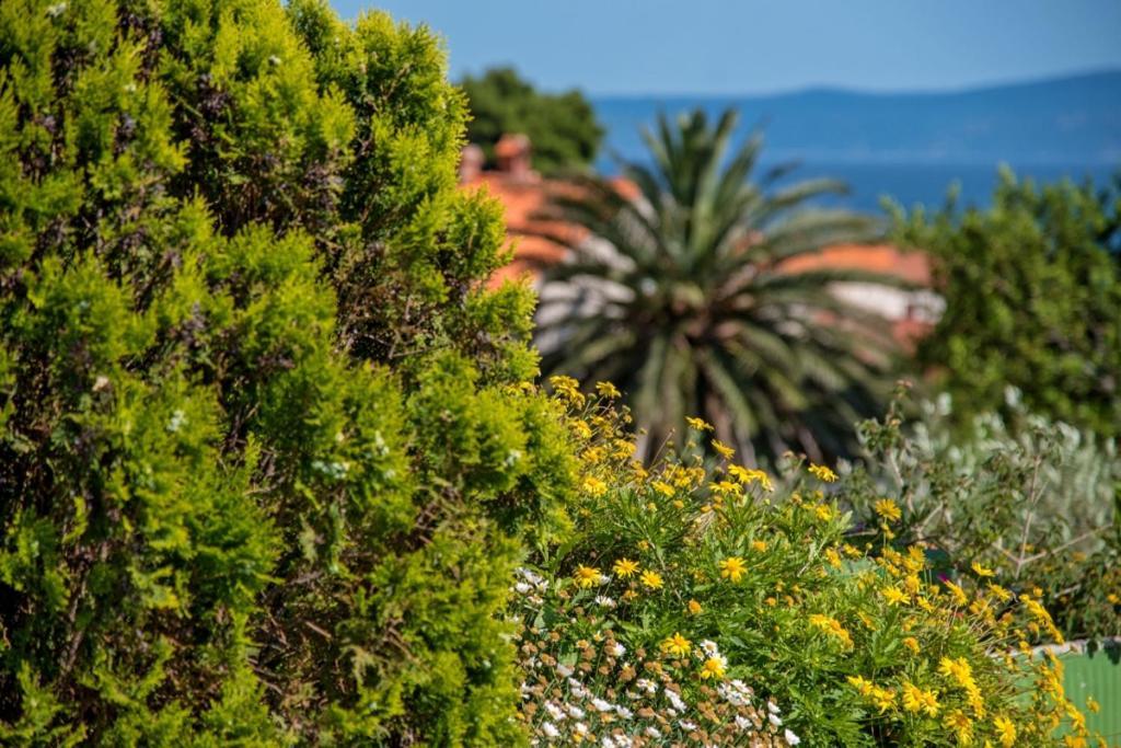 Apartment In Bol With Seaview, Terrace, Air Condition, Wifi Dış mekan fotoğraf